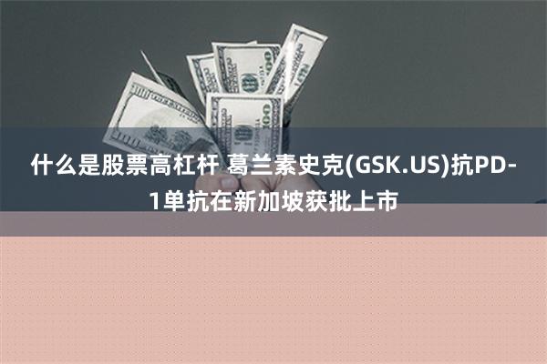 什么是股票高杠杆 葛兰素史克(GSK.US)抗PD-1单抗在新加坡获批上市