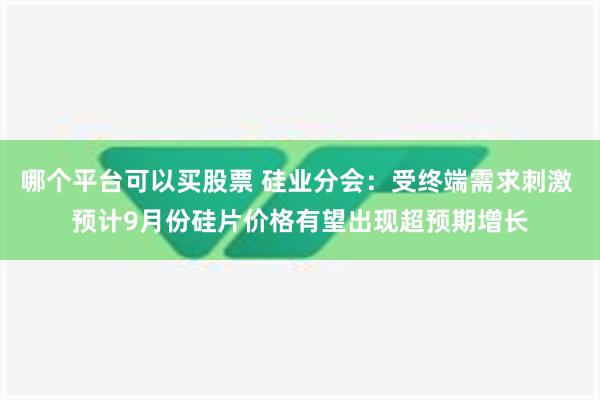 哪个平台可以买股票 硅业分会：受终端需求刺激 预计9月份硅片价格有望出现超预期增长