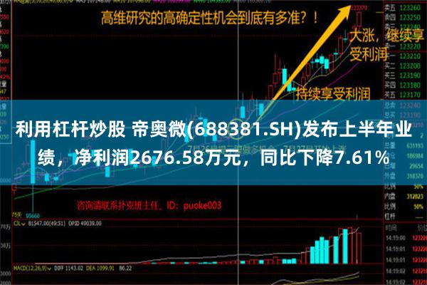 利用杠杆炒股 帝奥微(688381.SH)发布上半年业绩，净利润2676.58万元，同比下降7.61%