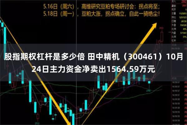 股指期权杠杆是多少倍 田中精机（300461）10月24日主力资金净卖出1564.59万元