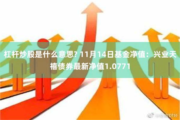 杠杆炒股是什么意思? 11月14日基金净值：兴业天禧债券最新净值1.0771