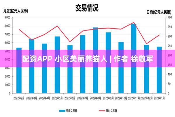 配资APP 小区美丽养猫人 | 作者 徐敬军