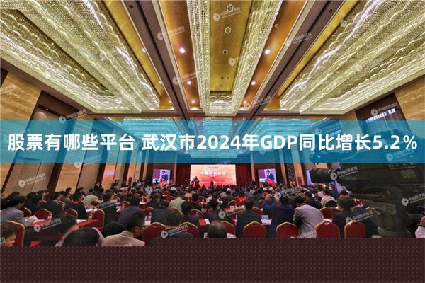 股票有哪些平台 武汉市2024年GDP同比增长5.2％