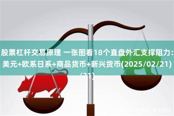 股票杠杆交易原理 一张图看18个直盘外汇支撑阻力：美元+欧系日系+商品货币+新兴货币(2025/02/21)